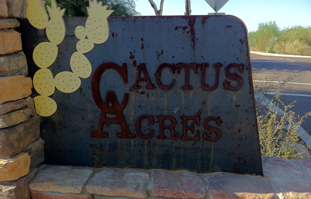 Cactus Acres | Scottsdale, AZ