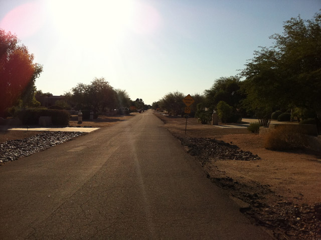 The narrow roads of Cactus Acres.