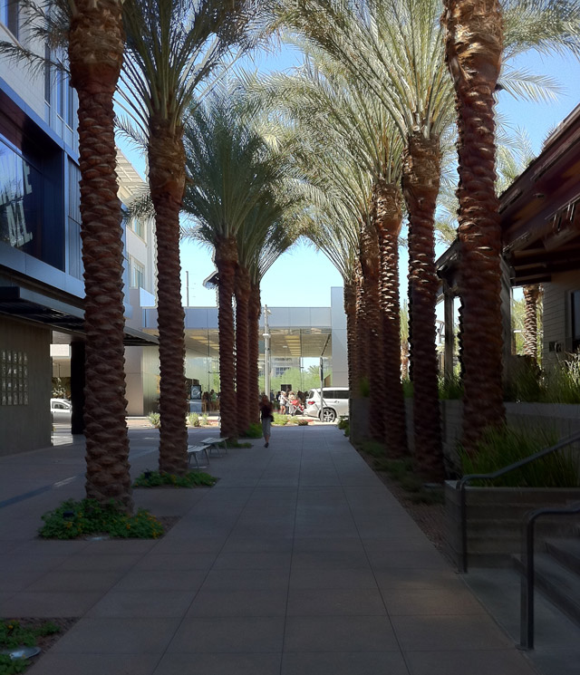 View to the Apple Store