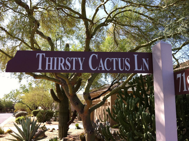 Thirsty Cactus Lane | Terravita | Scottsdale