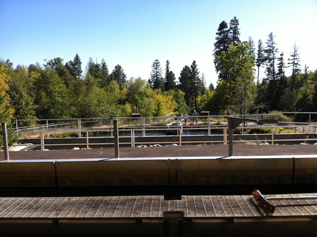 Tonto Creek Fish Hatchery