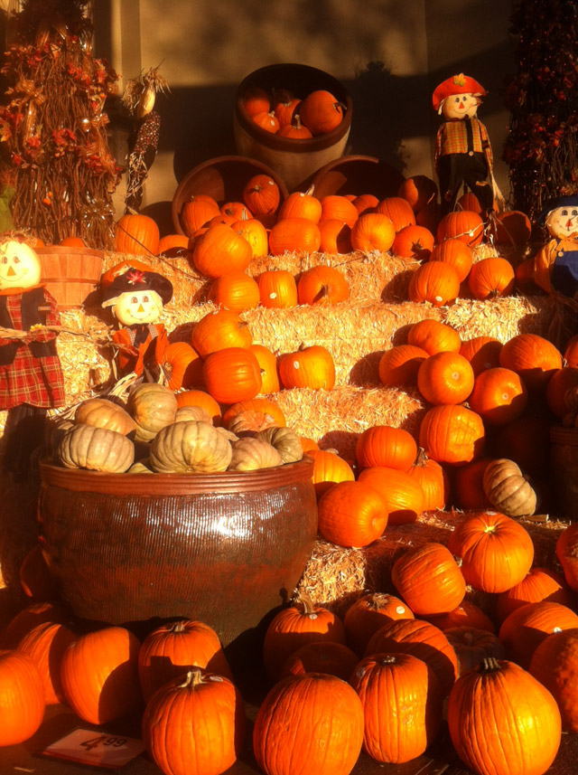 Halloween Display at Fry's | Hayden and Thompson Peak, Scottsdale