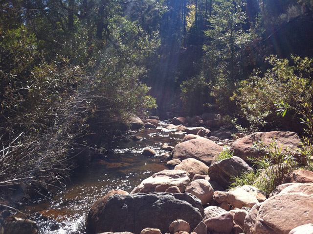 Horton's Creek Winds Through the Forest |  Payson